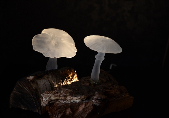 Vormgesmolten & gezandstraald glas<br>
							  Kilncasted and sandblasted glass